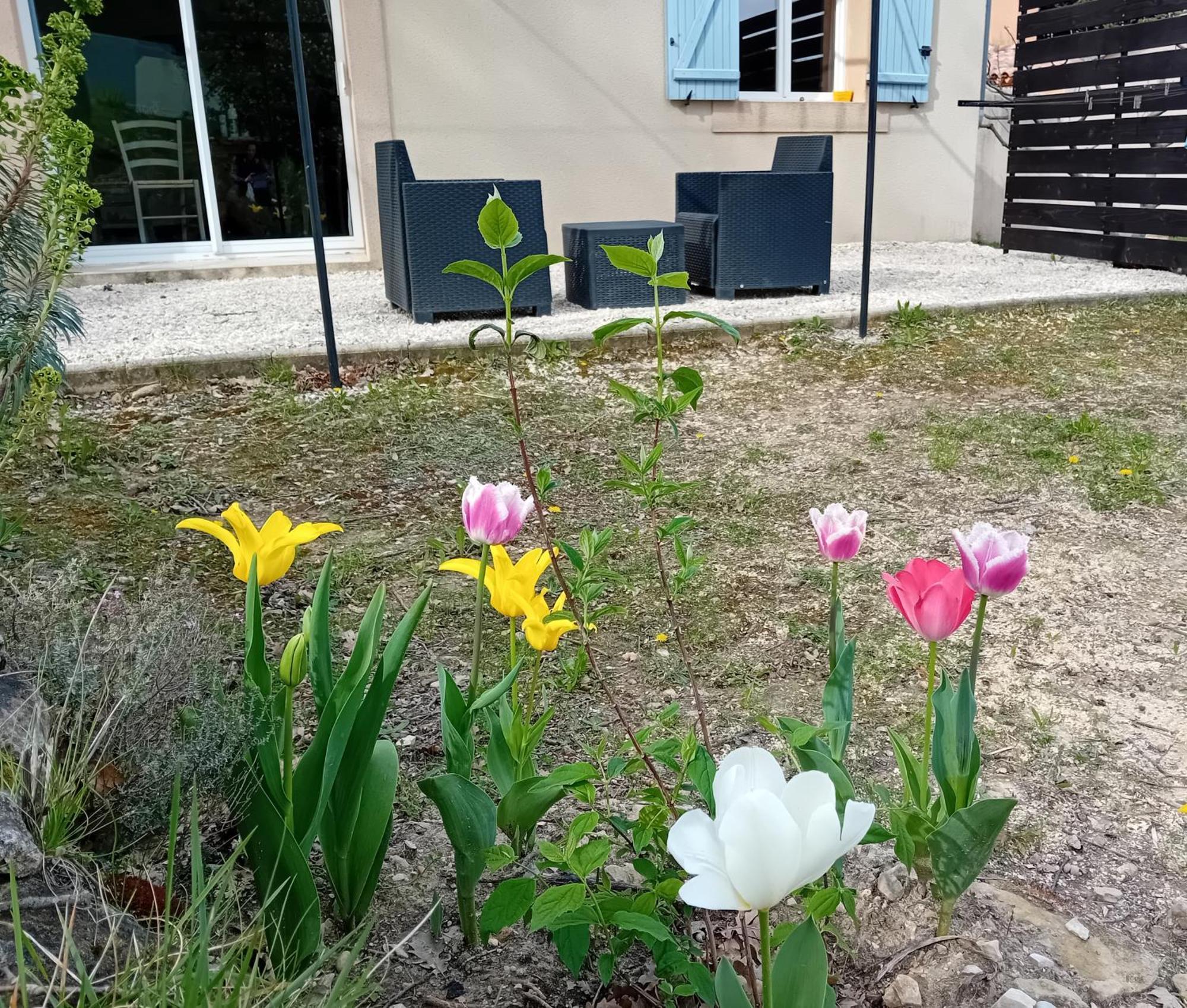 Gite Sittelle Parking Prive Linge Fourni Malaucène Exterior foto